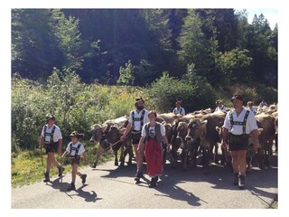 Ferienwohnung Oberstdorf Außenaufnahme 25