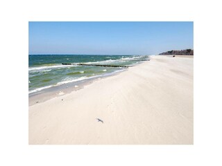 Ferienwohnung Zingst Außenaufnahme 15