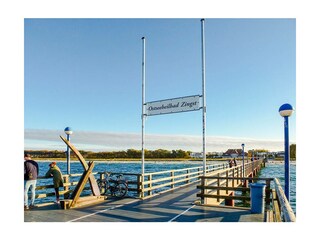 Ferienwohnung Zingst Außenaufnahme 16