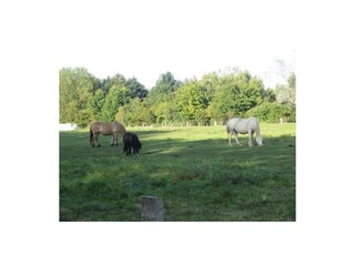 Ferienwohnung Großenbrode Außenaufnahme 22