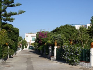 Casa per le vacanze San Pietro in Bevagna Registrazione all'aperto 4