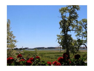 Ferienwohnung Middelhagen Außenaufnahme 6