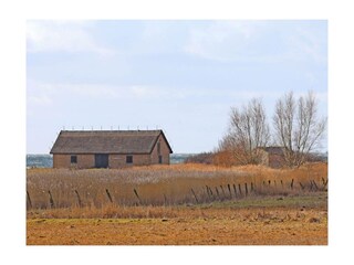 Ferienwohnung Middelhagen Außenaufnahme 25