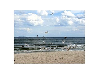 Ferienwohnung Middelhagen Außenaufnahme 34