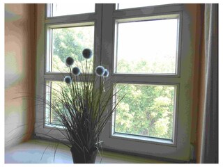 Ferienwohnung Bakenberg Außenaufnahme 5