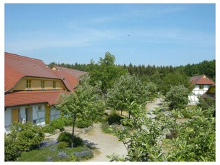 Ferienwohnung Bakenberg Außenaufnahme 9