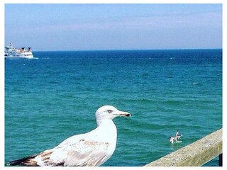 Ferienwohnung Warnemünde Außenaufnahme 16