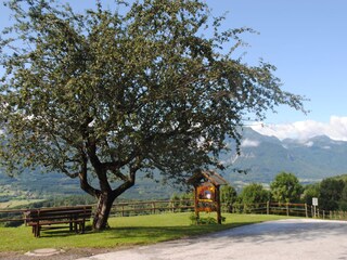 Appartamento per vacanze Ludmannsdorf Registrazione all'aperto 3