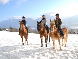 Vakantieappartement Ludmannsdorf Omgeving 14