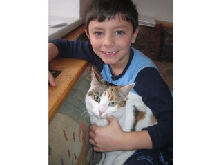 Vakantieappartement Ludmannsdorf Omgeving 19