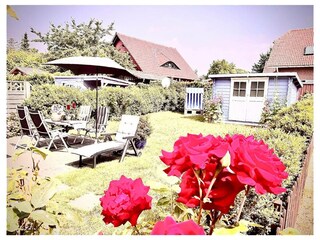 Ferienwohnung Glowe Außenaufnahme 38