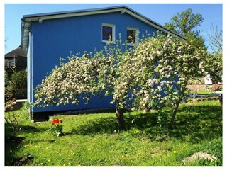 Ferienwohnung Bugewitz Außenaufnahme 23
