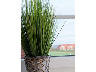 Ferienwohnung Carolinensiel Außenaufnahme 15