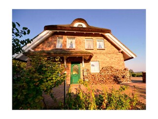 Ferienwohnung Groß Zicker Außenaufnahme 5