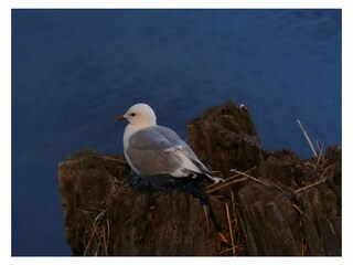 Ferienwohnung Groß Zicker Außenaufnahme 12