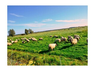 Ferienwohnung Groß Zicker Außenaufnahme 13