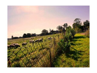 Ferienwohnung Groß Zicker Außenaufnahme 15