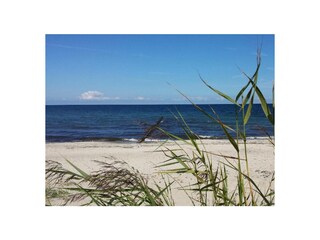 Ferienwohnung Börgerende-Rethwisch Außenaufnahme 10