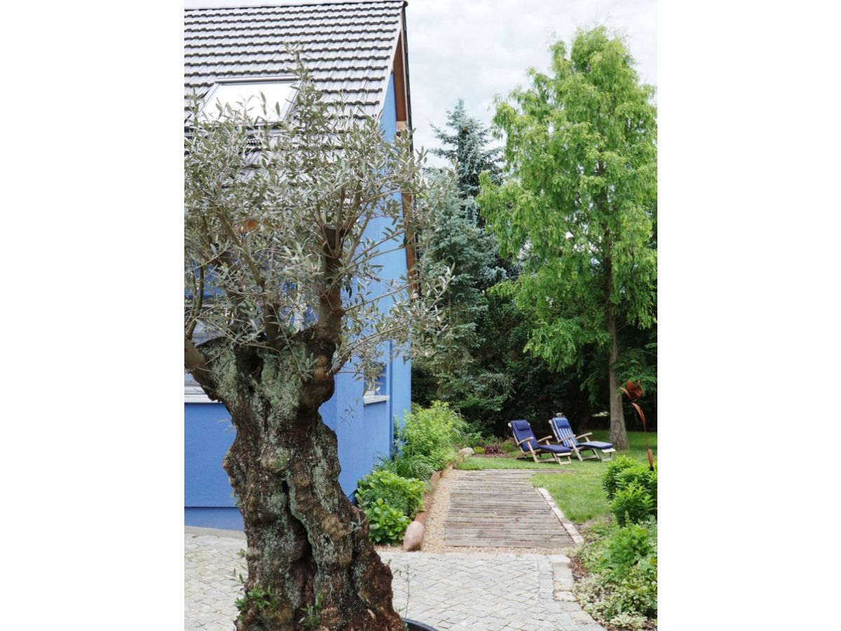 Apartment BluGarden "Feuer & Flamme" - Outdoor photo 6