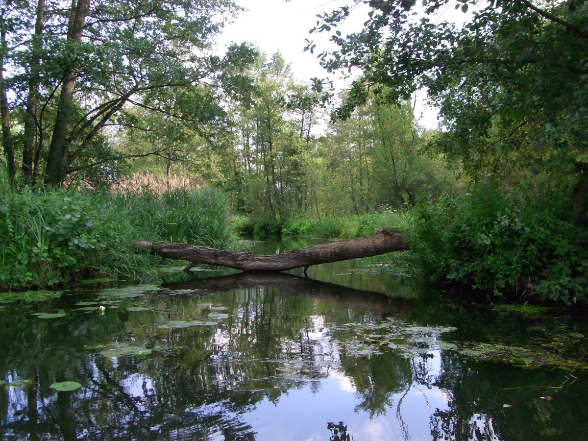 Apartment BluGarden "Feuer & Flamme" - Environment photo 19