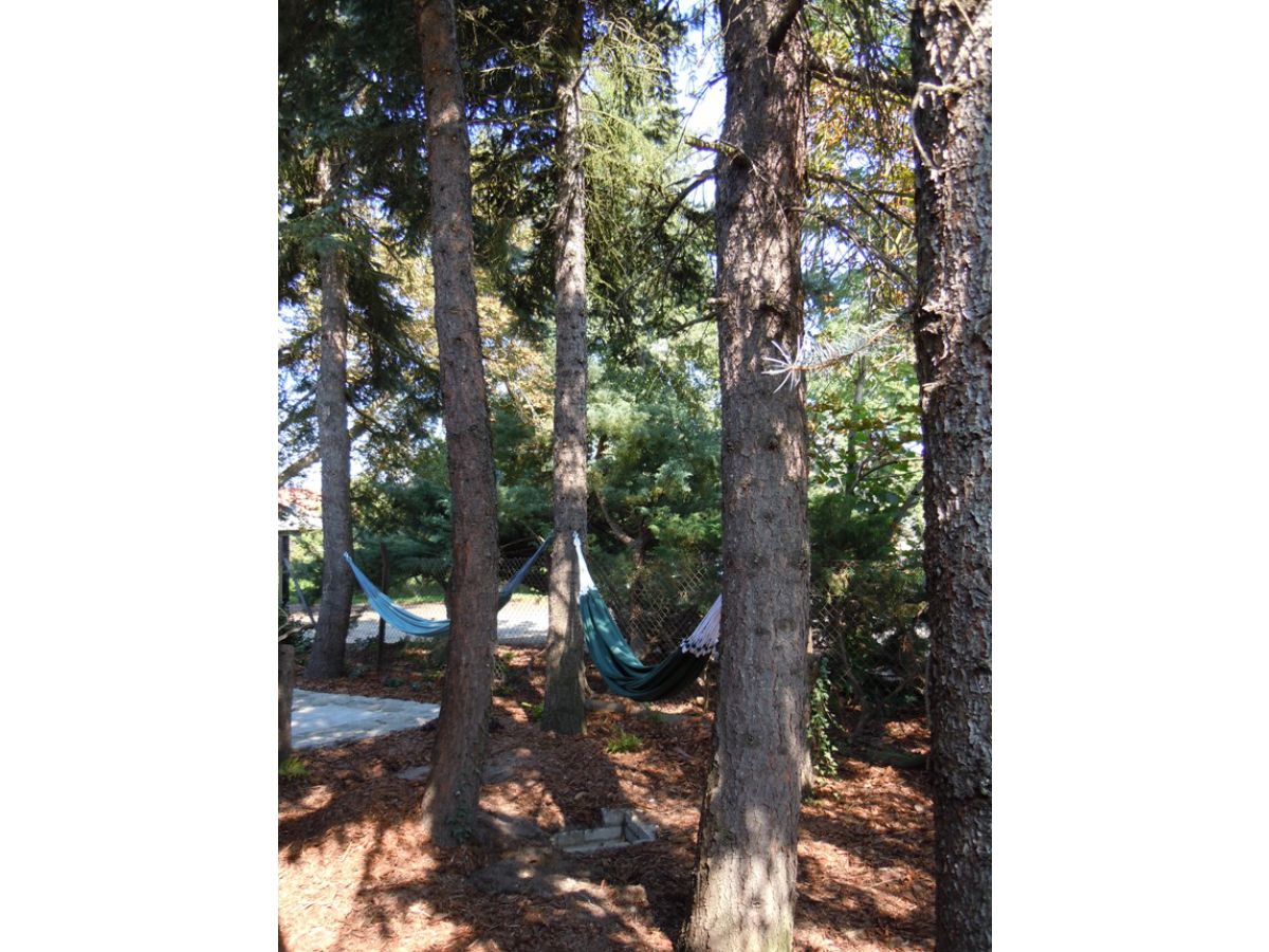 Apartment BluGarden "Feuer & Flamme" - Outdoor photo 5