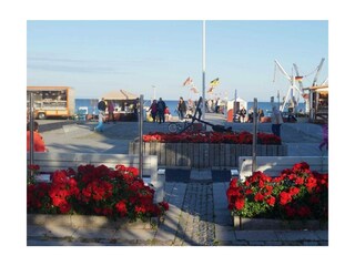 Ferienwohnung Großenbrode Außenaufnahme 24