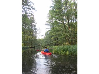 Spreewald Abenteuer