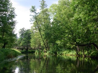 Der Spreewald - traumhaft schön!