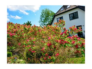 Ferienwohnung Groß Zicker Außenaufnahme 16