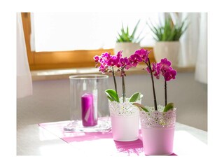 Ferienwohnung Oberstdorf Außenaufnahme 11