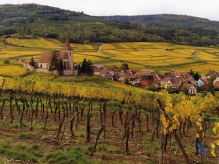 Herbst in Hunawihr