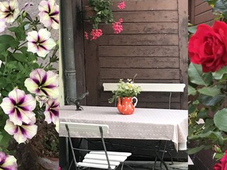 Appartamento per vacanze Hunawihr Registrazione all'aperto 4