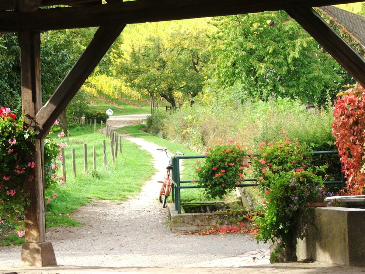 Spaziergänge durch das Dorf