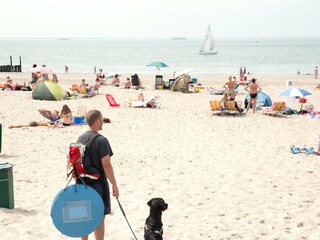 Appartamento per vacanze Vlissingen Ambiente 26