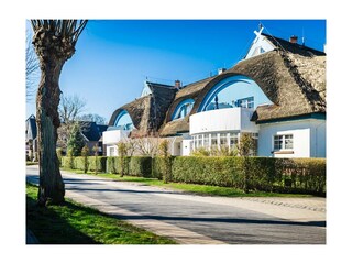 Ferienwohnung Zingst Außenaufnahme 17