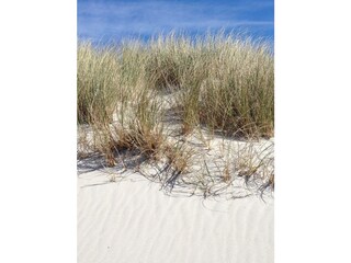 Ferienwohnung Zingst Außenaufnahme 24