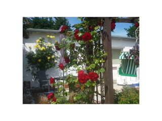 Ferienwohnung Fehmarnsund Außenaufnahme 2