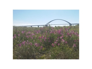 Ferienwohnung Fehmarnsund Außenaufnahme 17