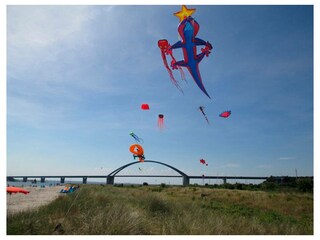 Ferienwohnung Fehmarnsund Außenaufnahme 19