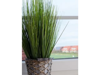 Ferienwohnung Carolinensiel Außenaufnahme 7