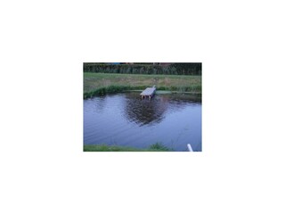 Ferienwohnung Grimersum Außenaufnahme 30