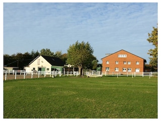 Ferienwohnung Heiligenhafen Außenaufnahme 23