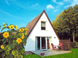 45 m² Ferienhaus ∙ 2 Schlafzimmer ∙ 4 Gäste