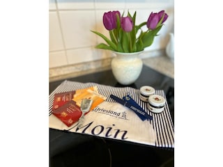 Ferienwohnung Hagermarsch Außenaufnahme 4