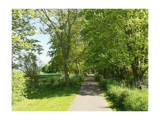 Ferienwohnung Büsumer Deichhausen Außenaufnahme 8