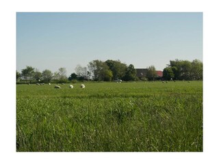 Ferienwohnung Büsumer Deichhausen Außenaufnahme 9