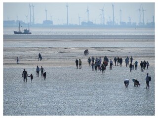 Ferienwohnung Büsumer Deichhausen Außenaufnahme 12