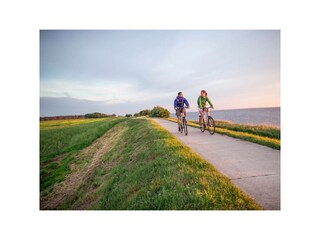 Ferienwohnung Zingst Außenaufnahme 14