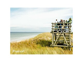 Ferienwohnung Zingst Außenaufnahme 16