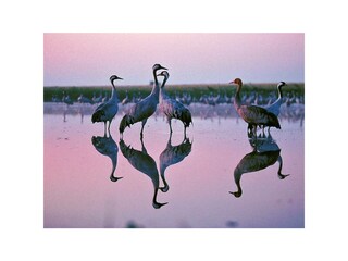 Ferienwohnung Zingst Außenaufnahme 18